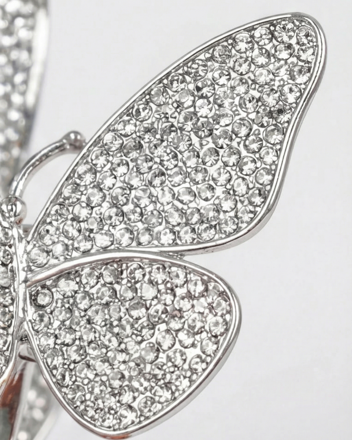 Birkin Bloom