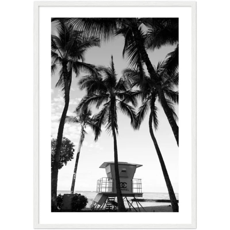 Framed Fine Art Prints for Elegant Homes - Framed Fine Art Prints