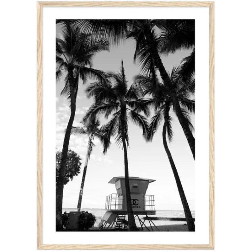 Framed Fine Art Prints for Elegant Homes - Framed Fine Art Prints