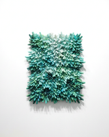 Tidal Bloom