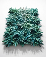 Tidal Bloom