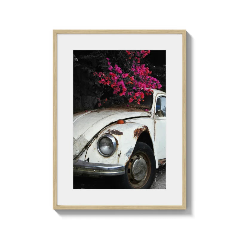 Framed Fine Art Prints Affordable Total Size Options - Framed Fine Art Prints