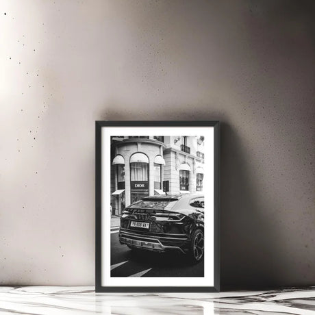 Framed Fine Art Prints Elevate Your Home - Framed Fine Art Prints