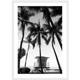 Framed Fine Art Prints for Elegant Homes - Framed Fine Art Prints