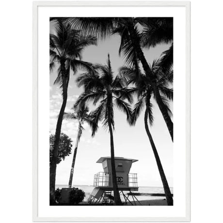 Framed Fine Art Prints for Elegant Homes - Framed Fine Art Prints