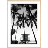 Framed Fine Art Prints for Elegant Homes - Framed Fine Art Prints