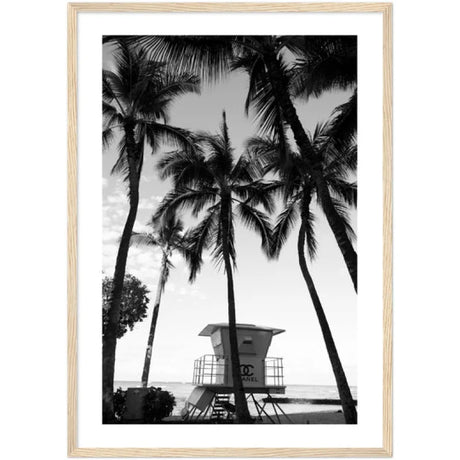 Framed Fine Art Prints for Elegant Homes - Framed Fine Art Prints