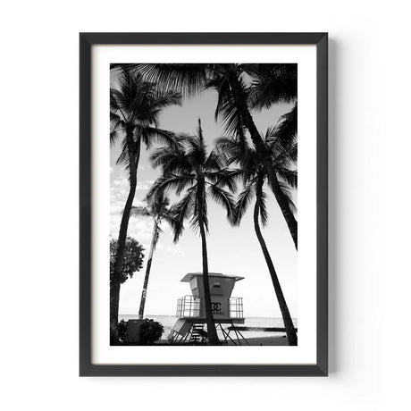 Framed Fine Art Prints for Elegant Homes - Framed Fine Art Prints